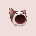 POPCAT token icon