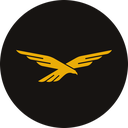 WLFI token icon